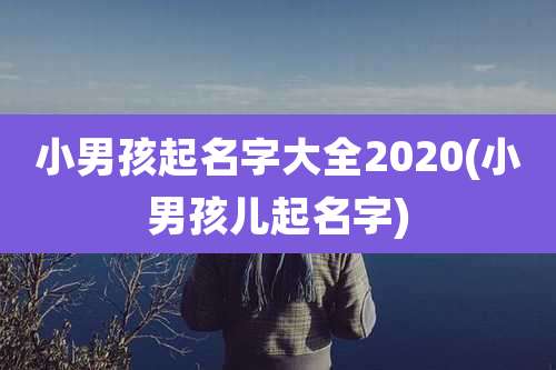 小男孩起名字大全2020(小男孩儿起名字)