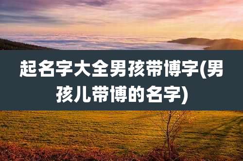 起名字大全男孩带博字(男孩儿带博的名字)
