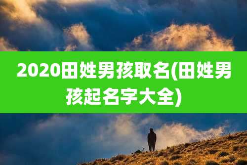 2020田姓男孩取名(田姓男孩起名字大全)