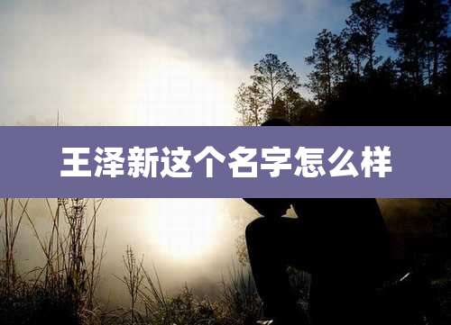 王泽新这个名字怎么样