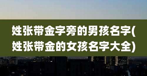 姓张带金字旁的男孩名字(姓张带金的女孩名字大全)