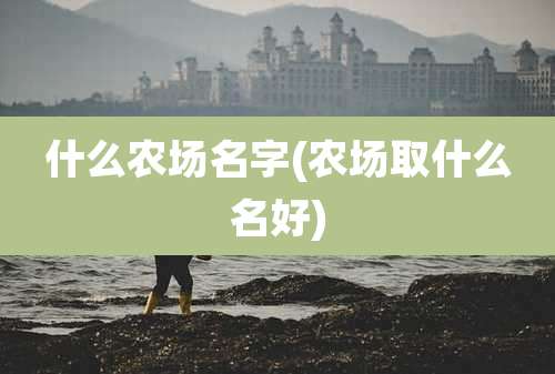 什么农场名字(农场取什么名好)