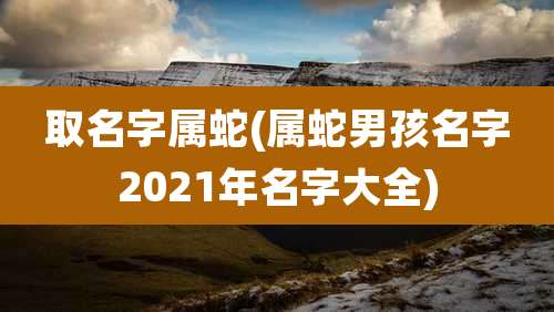取名字属蛇(属蛇男孩名字2021年名字大全)