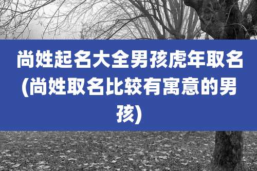 尚姓起名大全男孩虎年取名(尚姓取名比较有寓意的男孩)