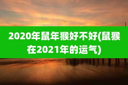 2020年鼠年猴好不好(鼠猴在2021年的运气)