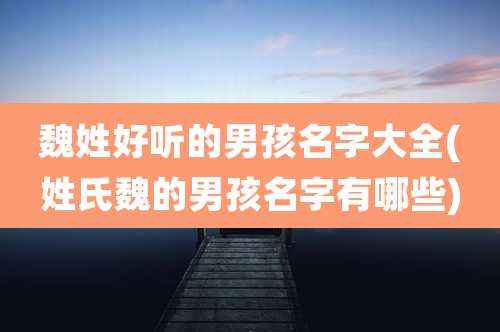 魏姓好听的男孩名字大全(姓氏魏的男孩名字有哪些)