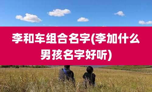 李和车组合名字(李加什么男孩名字好听)
