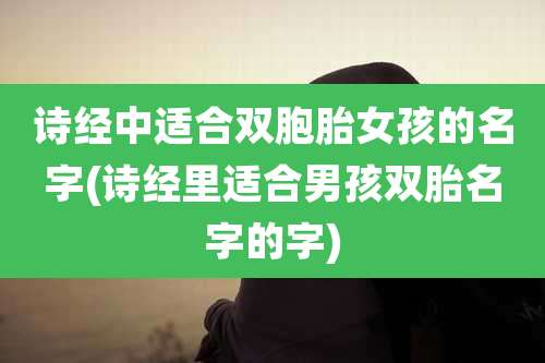 诗经中适合双胞胎女孩的名字(诗经里适合男孩双胎名字的字)