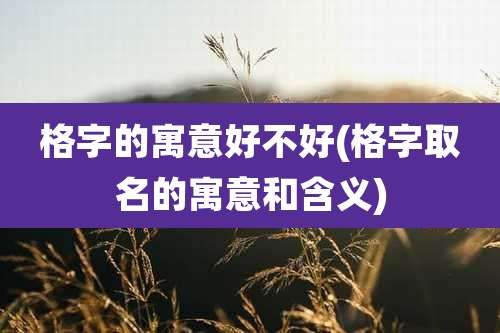 格字的寓意好不好(格字取名的寓意和含义)