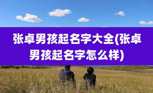 张卓男孩起名字大全(张卓男孩起名字怎么样)