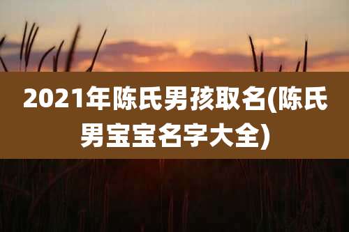 2021年陈氏男孩取名(陈氏男宝宝名字大全)