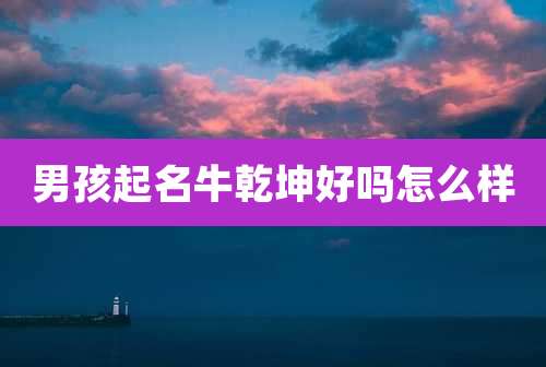 男孩起名牛乾坤好吗怎么样