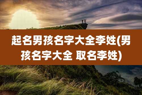 起名男孩名字大全李姓(男孩名字大全 取名李姓)