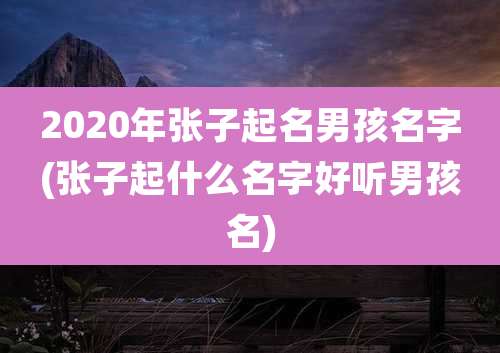 2020年张子起名男孩名字(张子起什么名字好听男孩名)