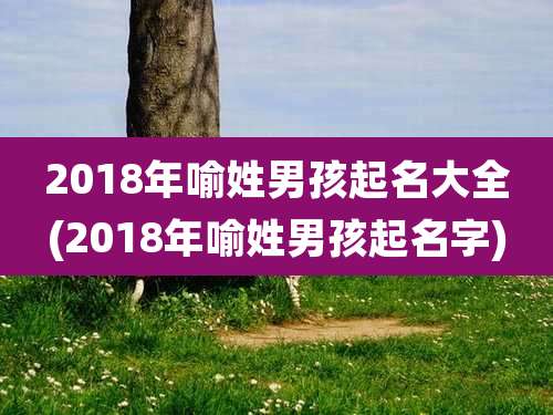 2018年喻姓男孩起名大全(2018年喻姓男孩起名字)
