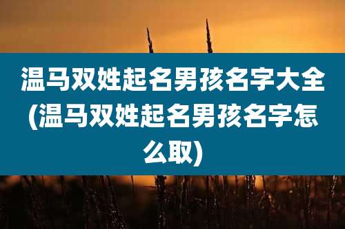 温马双姓起名男孩名字大全(温马双姓起名男孩名字怎么取)