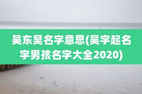 吴东昊名字意思(吴字起名字男孩名字大全2020)