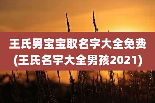 王氏男宝宝取名字大全免费(王氏名字大全男孩2021)