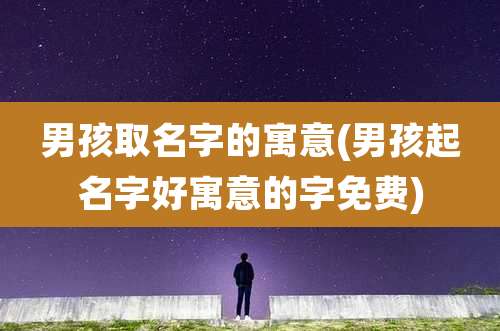 男孩取名字的寓意(男孩起名字好寓意的字免费)