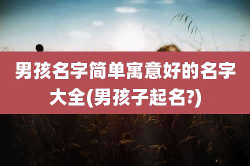 男孩名字简单寓意好的名字大全(男孩子起名?)