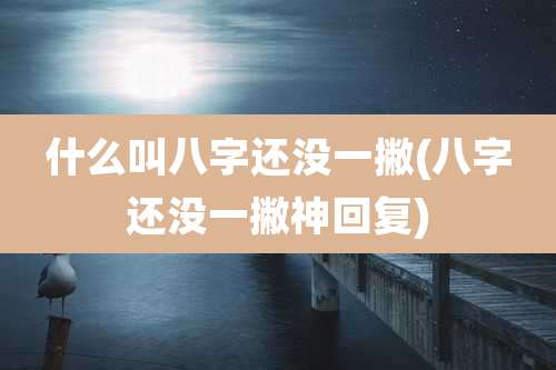 什么叫八字还没一撇(八字还没一撇神回复)