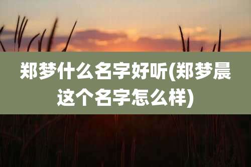 郑梦什么名字好听(郑梦晨这个名字怎么样)