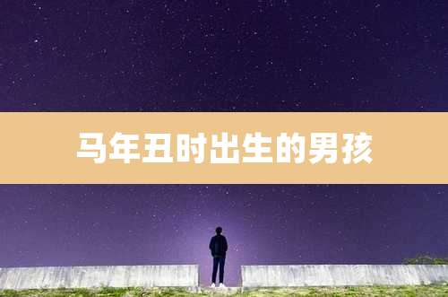 马年丑时出生的男孩