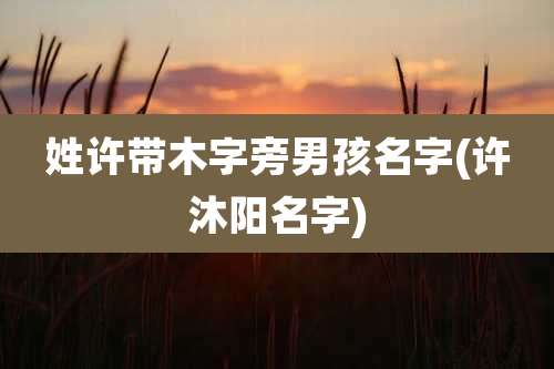 姓许带木字旁男孩名字(许沐阳名字)