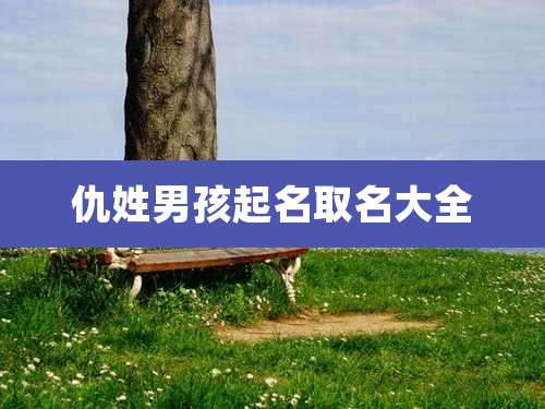 仇姓男孩起名取名大全