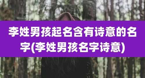 李姓男孩起名含有诗意的名字(李姓男孩名字诗意)