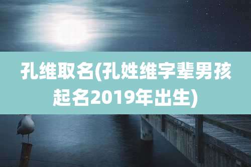 孔维取名(孔姓维字辈男孩起名2019年出生)