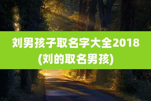 刘男孩子取名字大全2018(刘的取名男孩)