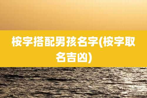 桉字搭配男孩名字(桉字取名吉凶)