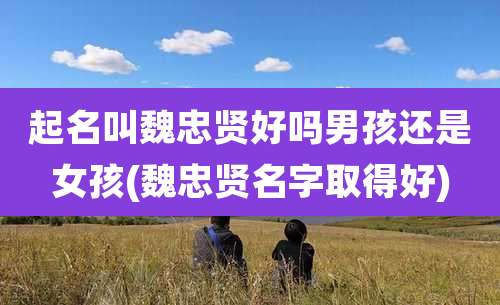 起名叫魏忠贤好吗男孩还是女孩(魏忠贤名字取得好)