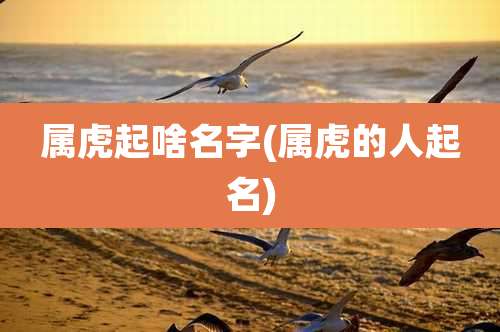 属虎起啥名字(属虎的人起名)