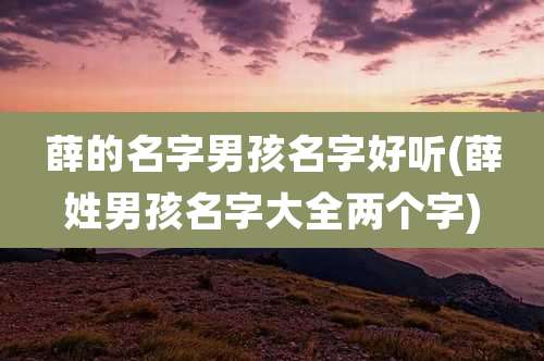 薛的名字男孩名字好听(薛姓男孩名字大全两个字)