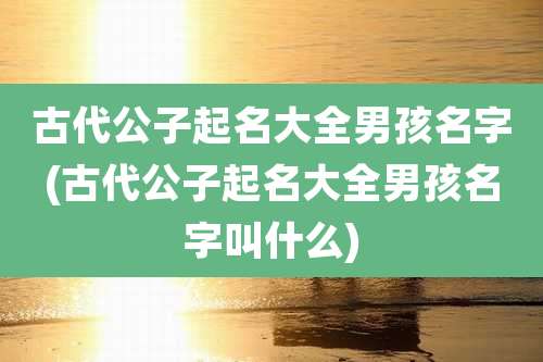 古代公子起名大全男孩名字(古代公子起名大全男孩名字叫什么)