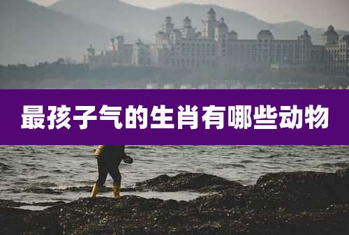 最孩子气的生肖有哪些动物