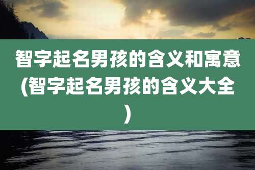 智字起名男孩的含义和寓意(智字起名男孩的含义大全)
