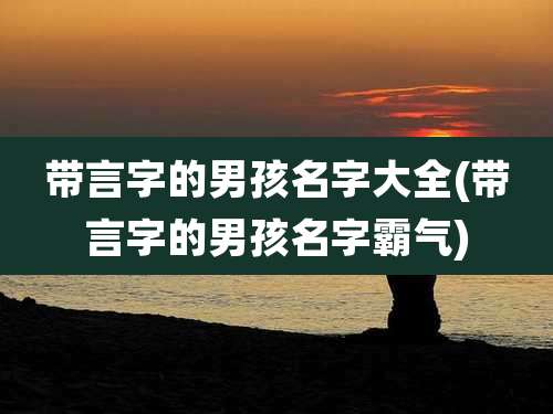带言字的男孩名字大全(带言字的男孩名字霸气)