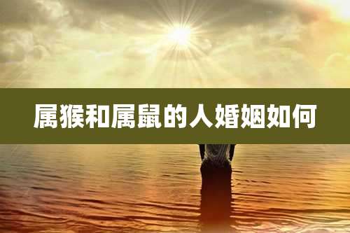 属猴和属鼠的人婚姻如何