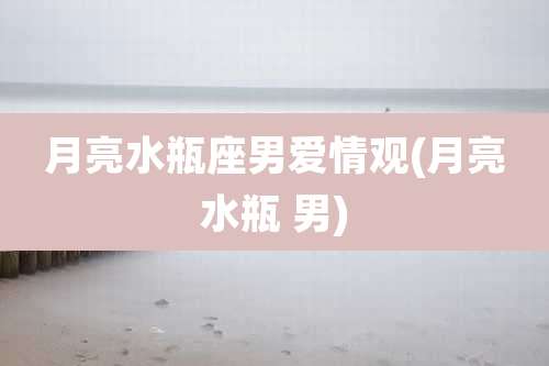 月亮水瓶座男爱情观(月亮水瓶 男)