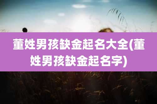 董姓男孩缺金起名大全(董姓男孩缺金起名字)