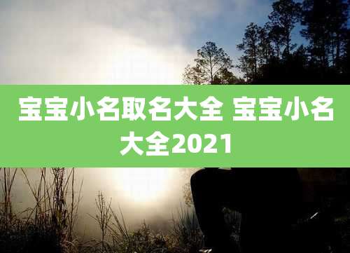 宝宝小名取名大全 宝宝小名大全2021