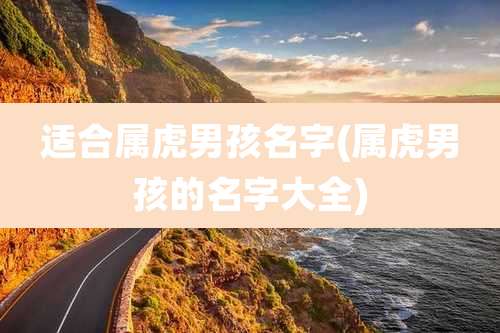 适合属虎男孩名字(属虎男孩的名字大全)