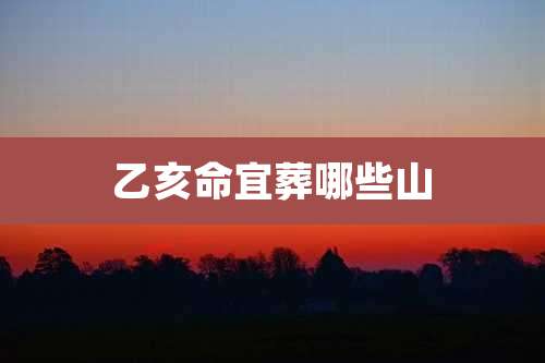 乙亥命宜葬哪些山