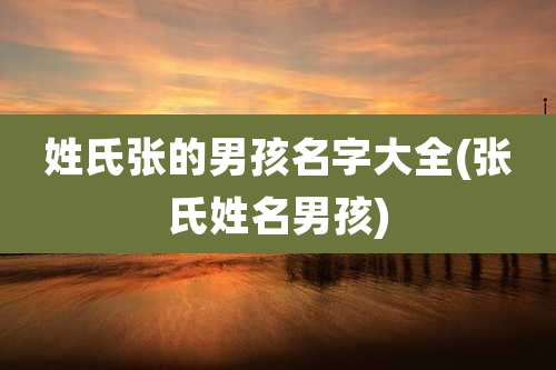 姓氏张的男孩名字大全(张氏姓名男孩)