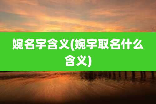 婉名字含义(婉字取名什么含义)