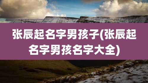张辰起名字男孩子(张辰起名字男孩名字大全)