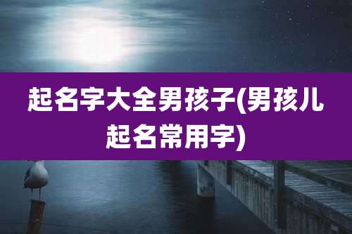 起名字大全男孩子(男孩儿起名常用字)